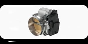 Throttle Bodies